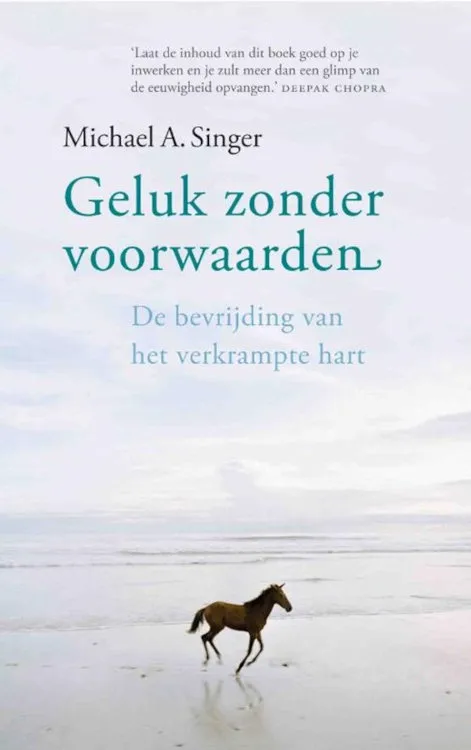 Boekomslag 'Geluk zonder voorwaarden - Michael Singer'